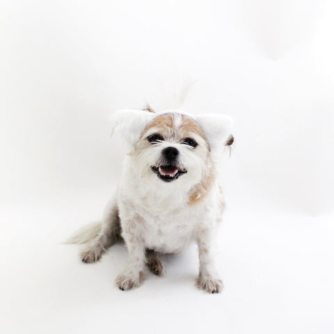 Image of White Fuzzy Ears Headband