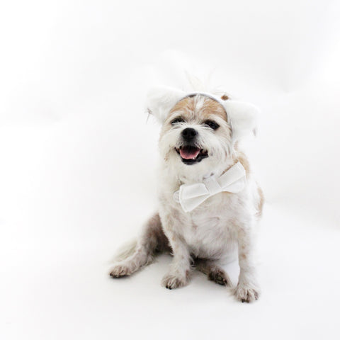 Image of White Fuzzy Ears Headband