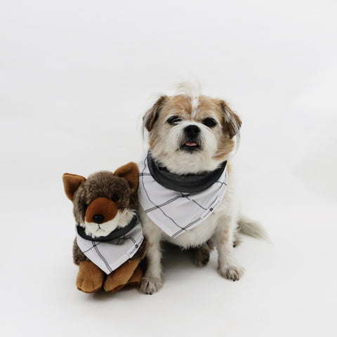 Image of Willie Reversible White and Silver Plaids Bandana for Matching Dog Bandanas and Accessories | Hound and Friends